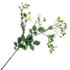 Best deal 🎉 Cream Kate Rose Stem by Ashland® 🛒 -Ashland Sales 10451129 1