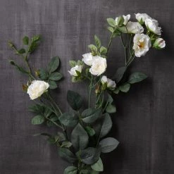 Best deal 🎉 Cream Kate Rose Stem by Ashland® 🛒 -Ashland Sales 10451129 22