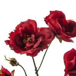 Best deal 👏 Kate Rose Spray by Ashland® ⭐ -Ashland Sales 10451131 20