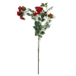 Best deal 👏 Kate Rose Spray by Ashland® ⭐ -Ashland Sales 10451131 21