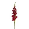 Hot Sale 🎁 12 Pack: Burgundy Gladiolus Stem by Ashland® ✨ -Ashland Sales 10451146 1
