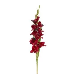 Cheapest 👍 Gladiolus Stem by Ashland® ✨ 9 Cheapest 👍 Gladiolus Stem by Ashland® ✨ -Ashland Sales 10451146