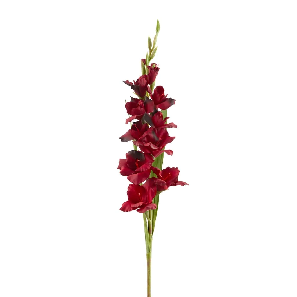 Cheapest 👍 Gladiolus Stem by Ashland® ✨ 6 Cheapest 👍 Gladiolus Stem by Ashland® ✨ - Image 4