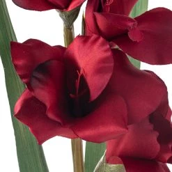 Cheapest 👍 Gladiolus Stem by Ashland® ✨ 8 Cheapest 👍 Gladiolus Stem by Ashland® ✨ -Ashland Sales 10451146 20