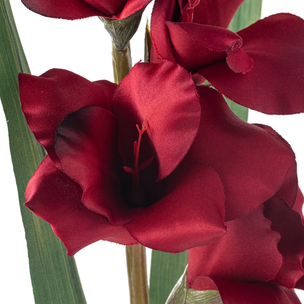 Cheapest 👍 Gladiolus Stem by Ashland® ✨ 5 Cheapest 👍 Gladiolus Stem by Ashland® ✨ - Image 3