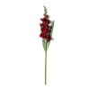 Cheapest 👍 Gladiolus Stem by Ashland® ✨ -Ashland Sales 10451146 21