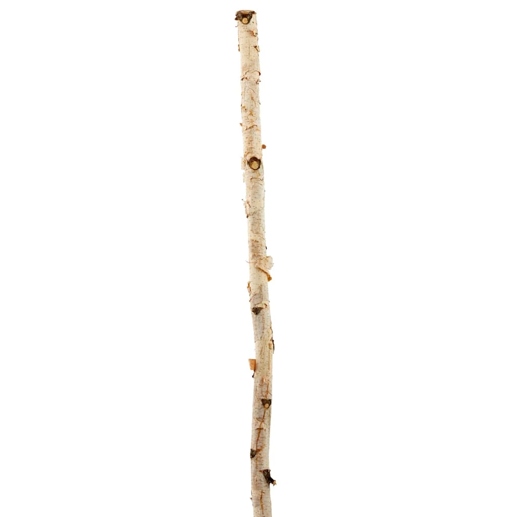 Cheapest 👏 Ashland® Natural River Birch 🛒 3 Cheapest 👏 Ashland® Natural River Birch 🛒