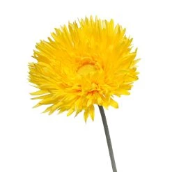 Outlet 🌟 Jumbo Yellow Spider Gerber Daisy Stem by Ashland® ✨ -Ashland Sales 10457421 2