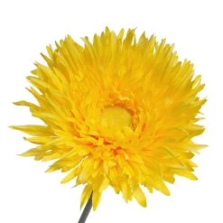 Outlet 🌟 Jumbo Yellow Spider Gerber Daisy Stem by Ashland® ✨ -Ashland Sales 10457421 3