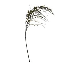 Best reviews of ⌛ Green Weeping Willow Stem by Ashland® ⌛ -Ashland Sales 10457806 2