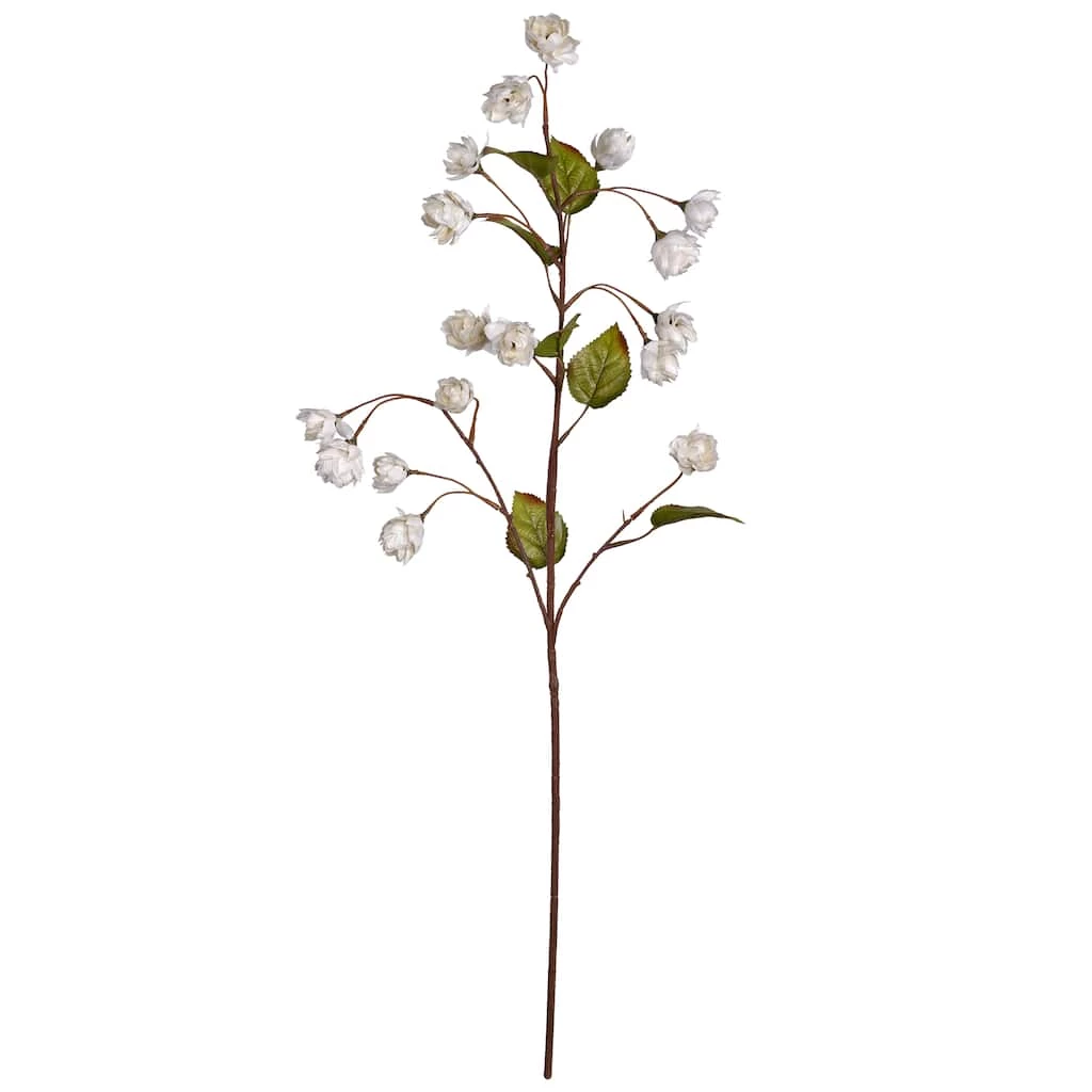 Best reviews of 😀 Cream Hops Spray by Ashland® 😍 3 Best reviews of 😀 Cream Hops Spray by Ashland® 😍