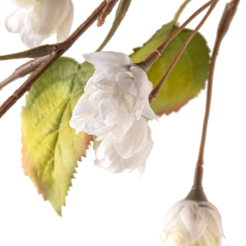 Best reviews of 😀 Cream Hops Spray by Ashland® 😍 4 Best reviews of 😀 Cream Hops Spray by Ashland® 😍 - Image 2