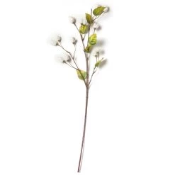 Best reviews of 😀 Cream Hops Spray by Ashland® 😍 9 Best reviews of 😀 Cream Hops Spray by Ashland® 😍 -Ashland Sales 10461196 21