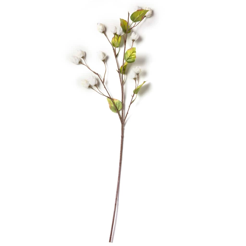 Best reviews of 😀 Cream Hops Spray by Ashland® 😍 6 Best reviews of 😀 Cream Hops Spray by Ashland® 😍 - Image 4