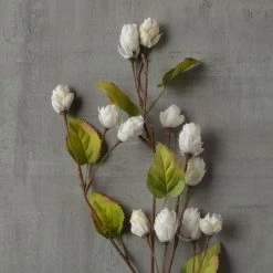 Best reviews of 😀 Cream Hops Spray by Ashland® 😍 8 Best reviews of 😀 Cream Hops Spray by Ashland® 😍 -Ashland Sales 10461196 25