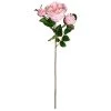 Hot Sale 😍 Light Pink English Rose Stem by Ashland® ⭐ -Ashland Sales 10461605