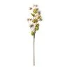 New ❤️ Blush Hops Stem by Ashland® 🎁 -Ashland Sales 10461606 21