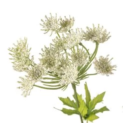 Discount 👏 White Queen Anne's Lace Spray by Ashland® 👍 -Ashland Sales 10461649 20