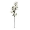 Cheap 🛒 White Mini 🦮 Dogwood Stem by Ashland® ⭐ -Ashland Sales 10461654 21