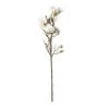 Cheapest 🌟 White Magnolia Branch Stem by Ashland® 🌟 -Ashland Sales 10468846 21