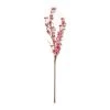 Brand new 🧨 Peach Blossom Stem by Ashland® ❤️ -Ashland Sales 10468899 21