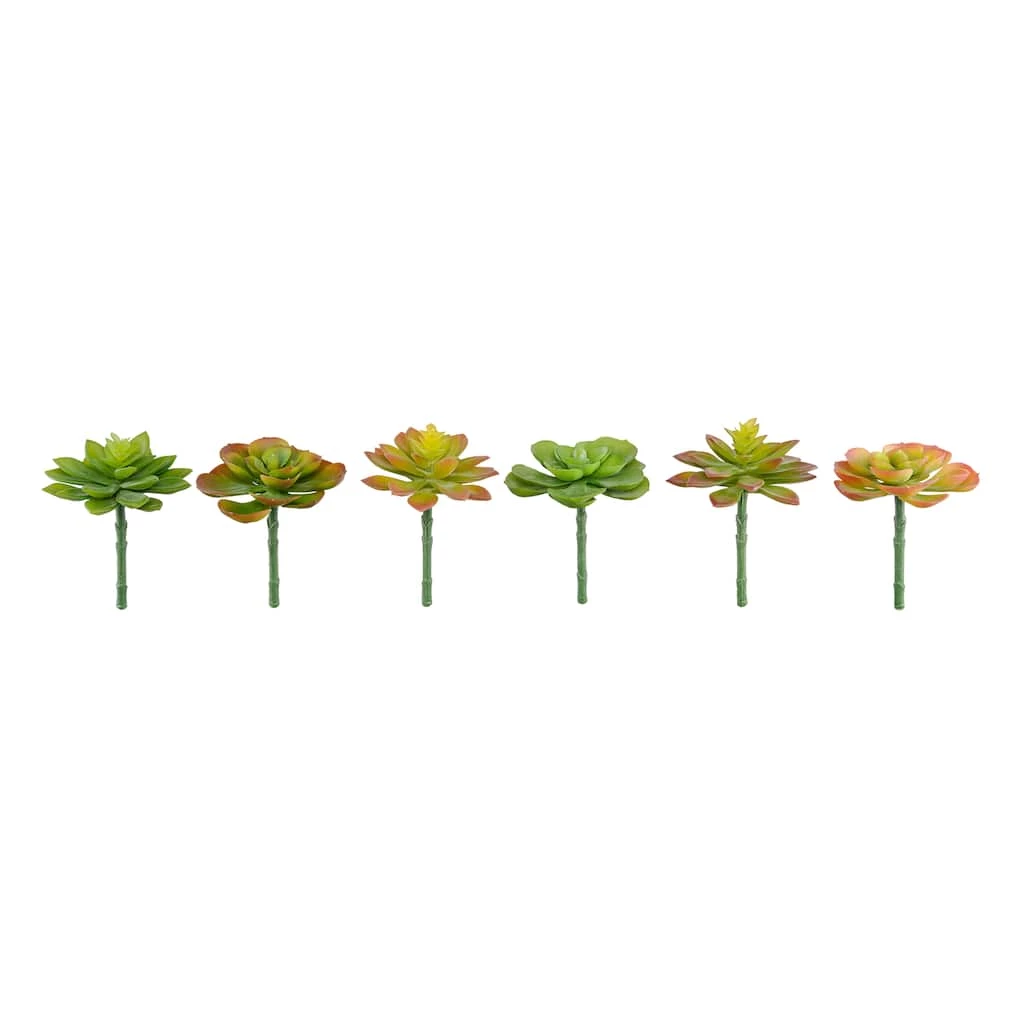 Discount 🤩 12 Pack: Assorted Snap-On Succulent Pick by Ashland® 💯 3 Discount 🤩 12 Pack: Assorted Snap-On Succulent Pick by Ashland® 💯