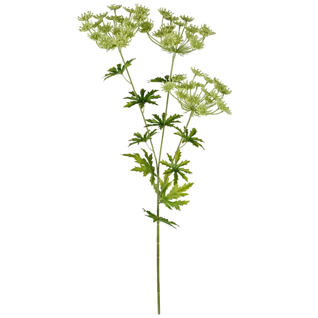 New 𧨠12 Pack: Light Green Queen Anne's Lace Spray by Ashland® π 3 New 𧨠12 Pack: Light Green Queen Anne's Lace Spray by Ashland® π