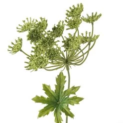 Best deal ⭐ Queen Anne's Lace Spray by Ashland® 👏 -Ashland Sales 10501462 20