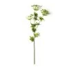 Best deal ⭐ Queen Anne's Lace Spray by Ashland® 👏 -Ashland Sales 10501462 21