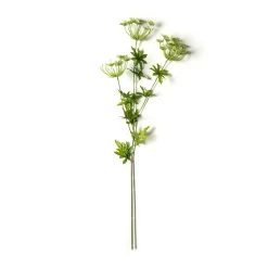 Best deal ⭐ Queen Anne's Lace Spray by Ashland® 👏