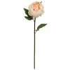 Cheap ⭐ King Peony Stem By Ashland® 😉 -Ashland Sales 10501484