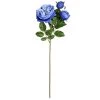 Budget 🧨 12 Pack: Blue English Rose Stem by Ashland® 🌟