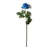 Coupon 🎉 Navy Rose Stem by Ashland® 🌟 1 Coupon 🎉 Navy Rose Stem by Ashland® 🌟 -Ashland Sales 10501505 21