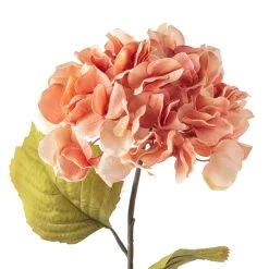 Best Sale 🧨 Coral Two-Toned Hydrangea Stem by Ashland® 😍 -Ashland Sales 10501508 20
