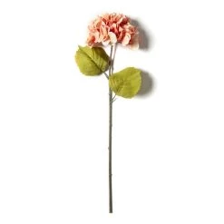 Best Sale 𧨠Coral Two-Toned Hydrangea Stem by Ashland® π