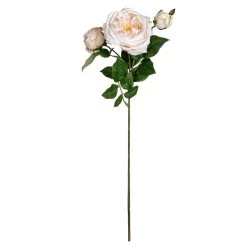 Best deal 🧨 Toast English Rose Stem by Ashland® 🌟