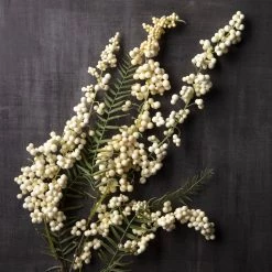 Wholesale 🎉 Cream Hanging Berry Stem by Ashland® ❤️ -Ashland Sales 10501512 22