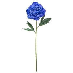 Coupon 🎉 12 Pack: Navy Peony Stem by Ashland® 🎁