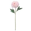 Promo 😉 12 Pack: Light Pink Peony Stem by Ashland® 🔔 2 Promo 😉 12 Pack: Light Pink Peony Stem by Ashland® 🔔 -Ashland Sales 10501951