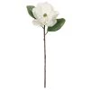 Cheapest 🛒 White Magnolia Stem by Ashland® 😀 -Ashland Sales 10501956