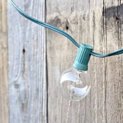 Best reviews of ⭐ 16ct. Round G40 Bulb String Lights by Ashland™ 🔔 10 Best reviews of ⭐ 16ct. Round G40 Bulb String Lights by Ashland™ 🔔 -Ashland Sales 10502272 3