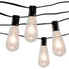 Promo 🧨 10ct. Edison ST12 Bulb String Lights by Ashland® ⌛ -Ashland Sales 10502273 1
