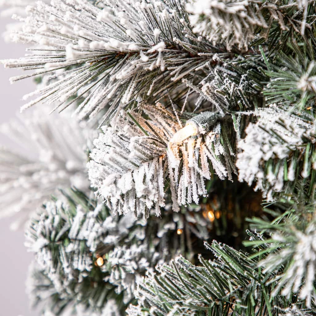 Promo 🎁 7ft. Pre-Lit Artificial Slim 🎄 Christmas Tree, Clear Lights by Ashland® 😉 6 Promo 🎁 7ft. Pre-Lit Artificial Slim 🎄 Christmas Tree, Clear Lights by Ashland® 😉 - Image 4