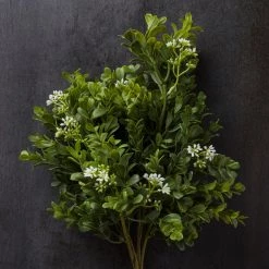 Coupon 😀 Boxwood & Berry Bush by Ashland® 🎁 -Ashland Sales 10546917 22