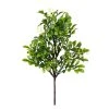 Coupon 🥰 24 Pack: Green Boxwood Pick by Ashland® 🎁 1 Coupon 🥰 24 Pack: Green Boxwood Pick by Ashland® 🎁 -Ashland Sales 10546920 1 1