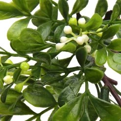 Coupon 🥰 24 Pack: Green Boxwood Pick by Ashland® 🎁 -Ashland Sales 10546920 2 1