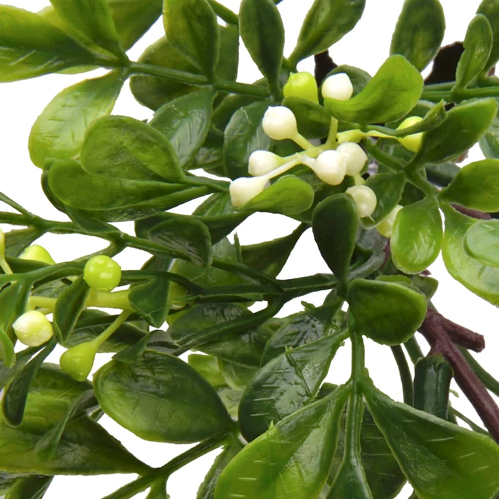 Top 10 𧨠Boxwood Pick By Ashland® π 4 Top 10 𧨠Boxwood Pick By Ashland® π - Image 2