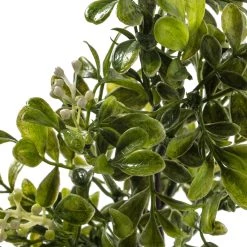 Top 10 𧨠Boxwood Pick By Ashland® π 9 Top 10 𧨠Boxwood Pick By Ashland® π -Ashland Sales 10546920 20