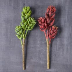 Brand new 👍 Assorted Succulent Pick with 3 Heads By Ashland® 😀 -Ashland Sales 10546921 22