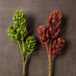 Brand new 👍 Assorted Succulent Pick with 3 Heads By Ashland® 😀 -Ashland Sales 10546921 25